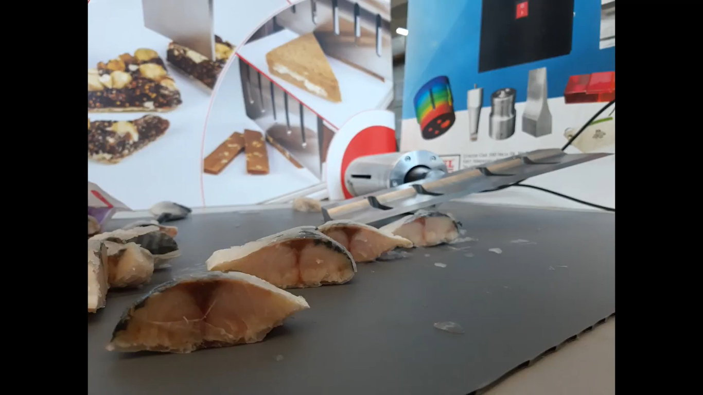 Frozen Fish Slicing with Ultrasonic